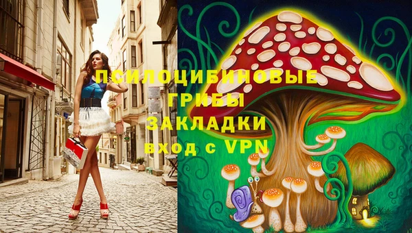 твердый Кукмор