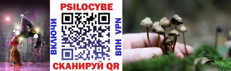 Псилоцибиновые грибы Cubensis  Купить где  Михайловка 