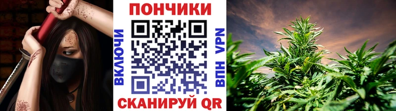 Купить  Михайловка  Бошки Шишки семена 